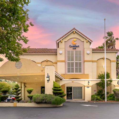 This is an image of a Comfort Inn hotel with a well-maintained exterior, a sunset sky, and surrounding greenery.